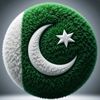 ali.hader339