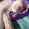 muhammad.wasito4
