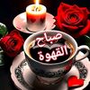 user6125516805651