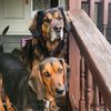 buddy_trudy1