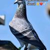 bassirou.thioune54