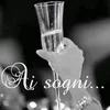 lapinalaboriosa