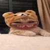 ttrucxgai2