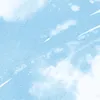 user4312476608484