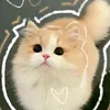 meoctee_5727
