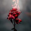 yalancydunya1