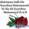 naile_322