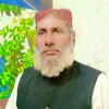 ali.gohar3483