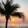www.bn.com2