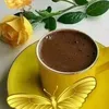 ali.ale480