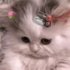 _bongchuai_
