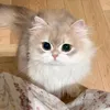 hanane.arsalane