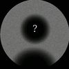 wasm283