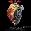 wafaa.moaz4