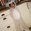 sophikwcvi2