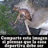 pedroordonez97