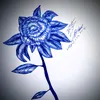 batool52603