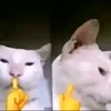 filipinhodls57