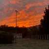blat_suyeta