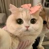 missrosa8