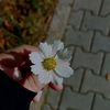 user5201008227355