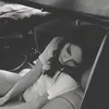 raven.fan.1