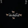 immoha28