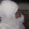 user8660154938006