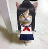gatitoyandere