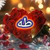 user283129866574151