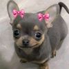 michisuwu055