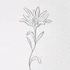 edelweiss_9158