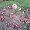 lindapayne694