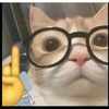 adrianadukic202