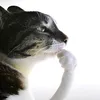 kakaschuh