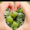 nazha.nazha598