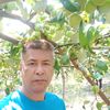 user68301658226333