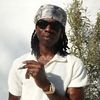 life_of_rema800