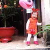 ditmedoi16