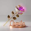 camila.magdeleine