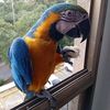 eli_see62