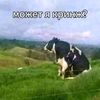 kklwocuw9
