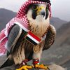 user4868077011029
