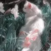 ngctrm6629