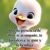 yorkinrafelpayero