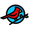 mr.bird.outdoors