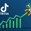 j.tiktok.acc.prmotion