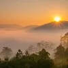 nguyenngiii