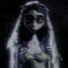 penna.mae2
