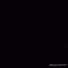 huynh_mai304